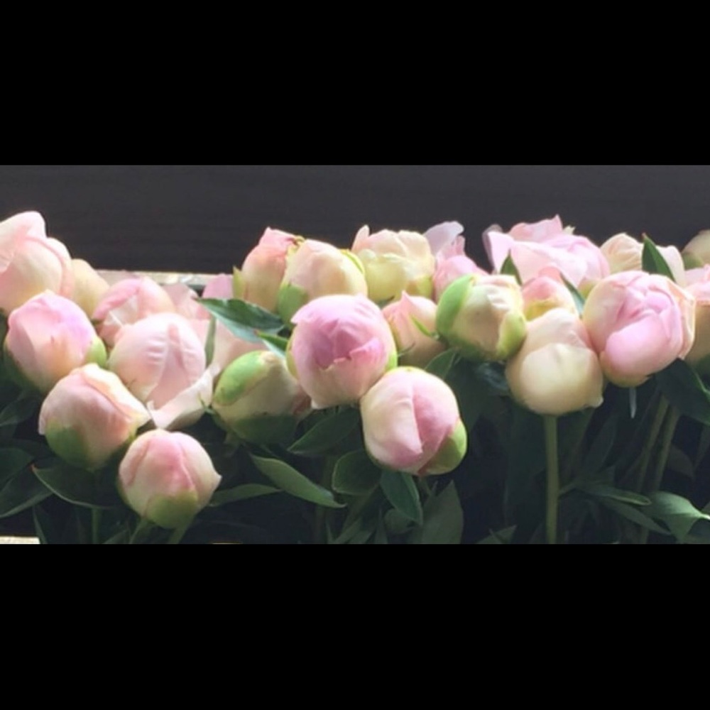 Meet your Posher, Laurie